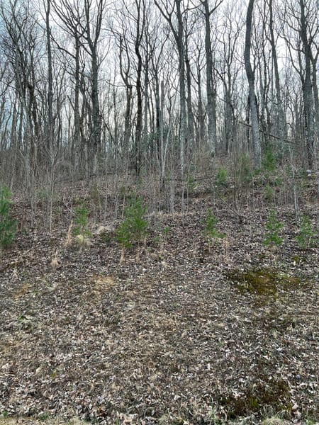 Ellijay, GA 30540 Gilmer County
