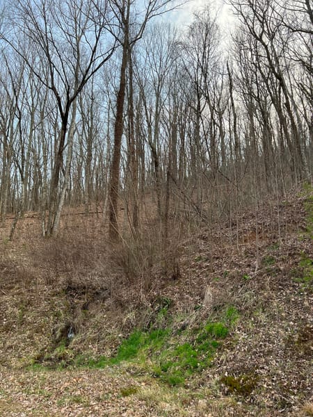 Ellijay, GA 30540 Gilmer County