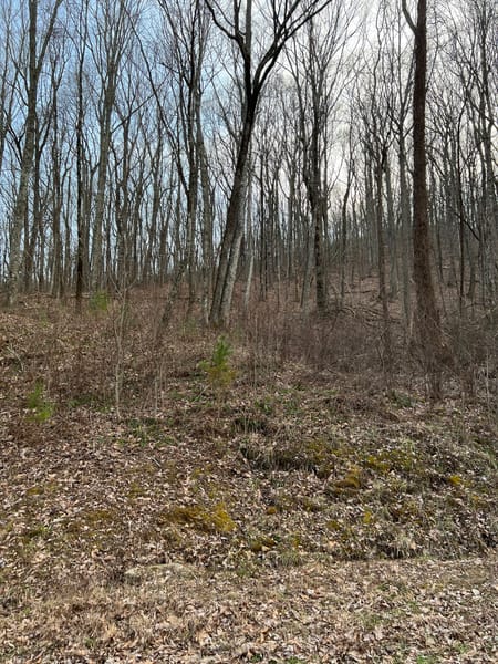 Ellijay, GA 30540 Gilmer County
