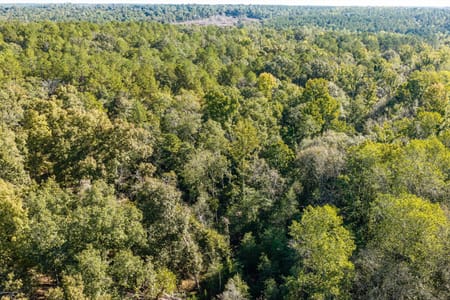 Hephzibah, GA 30815 Burke County