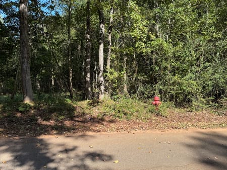 Hamilton, GA 31811 Harris County
