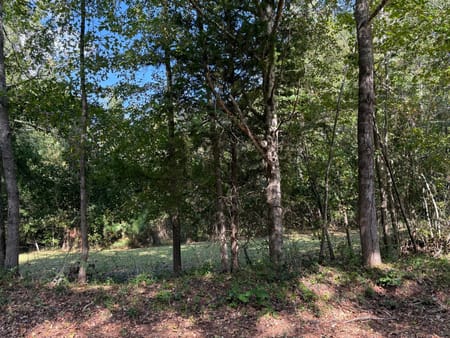 Hamilton, GA 31811 Harris County