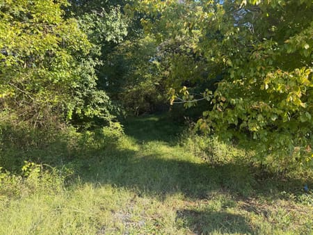 Dalton, GA 30721 Whitfield County