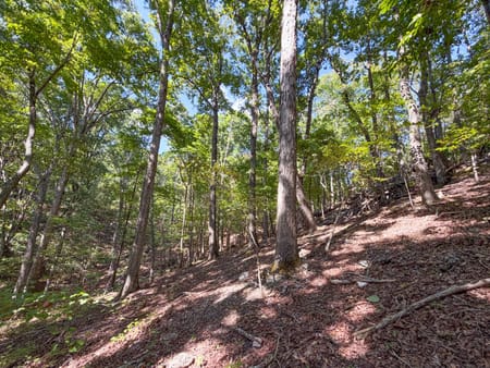 Adairsville, GA 30103 Bartow County