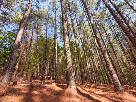 Adairsville, GA 30103 Bartow County