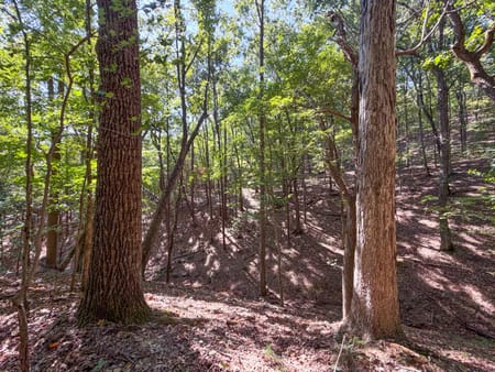 Adairsville, GA 30103 Bartow County