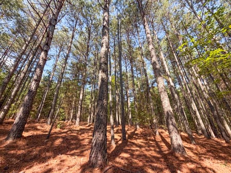 Adairsville, GA 30103 Bartow County