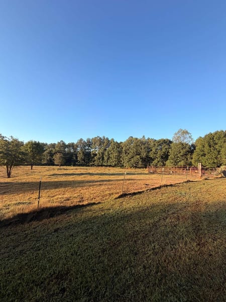 Martin, GA 30557 Franklin County