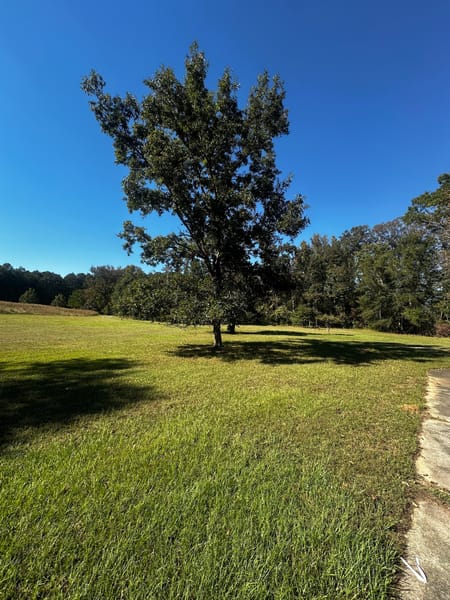 Newnan, GA 30263 Coweta County