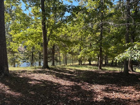 Greensboro, GA 30642 Greene County