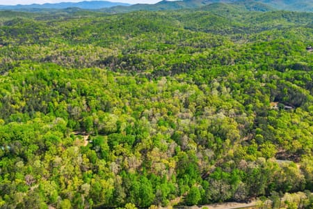 Talking Rock, GA 30175 Pickens County