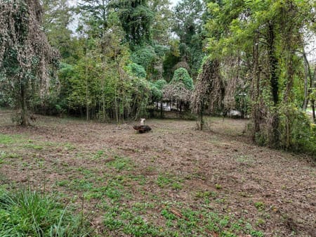 Blue Ridge, GA 30513 Fannin County