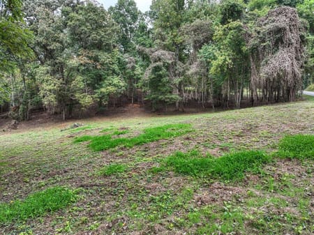 Blue Ridge, GA 30513 Fannin County
