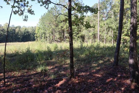 Sparta, GA 31087 Hancock County