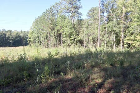 Sparta, GA 31087 Hancock County