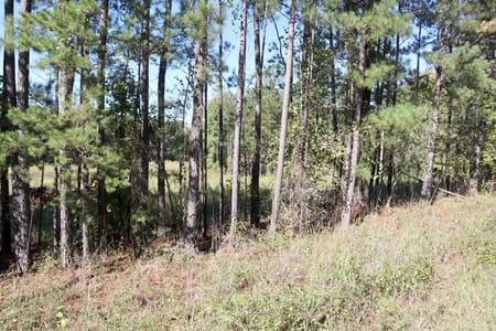 Sparta, GA 31087 Hancock County