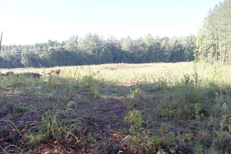 Sparta, GA 31087 Hancock County