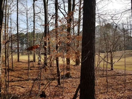 Ball Ground, GA 30107 Cherokee County