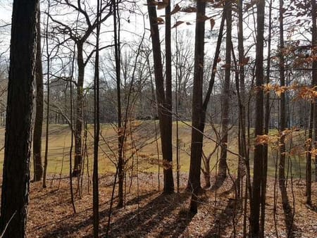 Ball Ground, GA 30107 Cherokee County