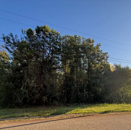 Carrollton, GA 30116 Carroll County