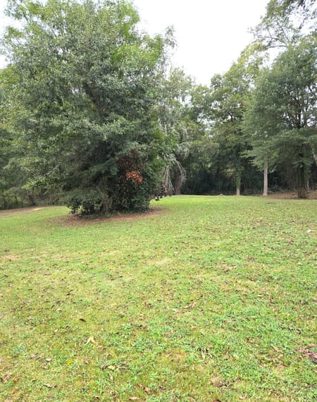 Jackson, GA 30233 Butts County