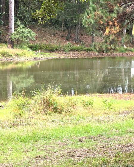 Jackson, GA 30233 Butts County