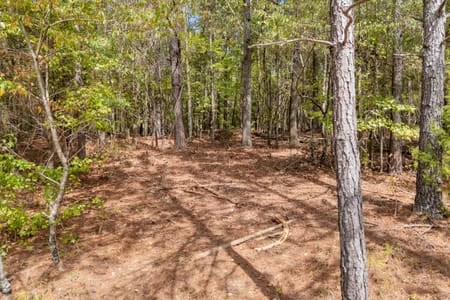 Colbert, GA 30628 Madison County