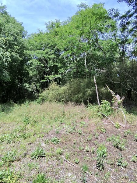 Cartersville, GA 30121 Bartow County