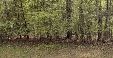 Mcdonough, GA 30252 Rockdale County