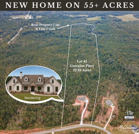 Senoia, GA 30276 Coweta County
