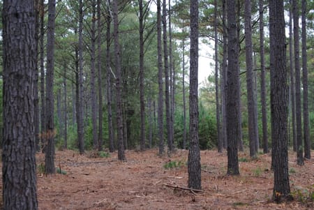 West Point, GA 31833 Troup County
