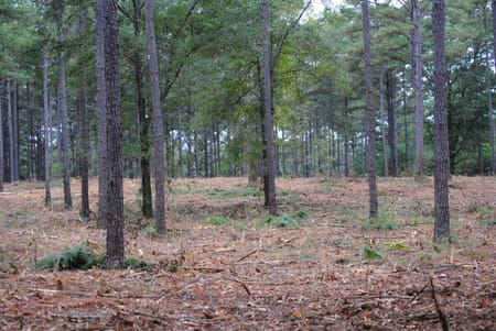 West Point, GA 31833 Troup County