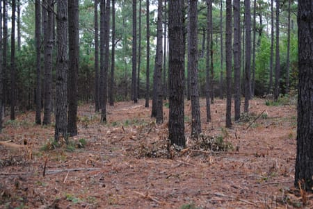 West Point, GA 31833 Troup County