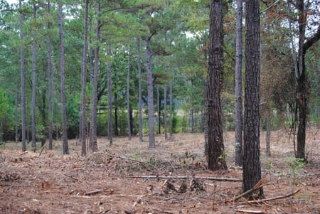 West Point, GA 31833 Troup County