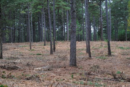 West Point, GA 31833 Troup County