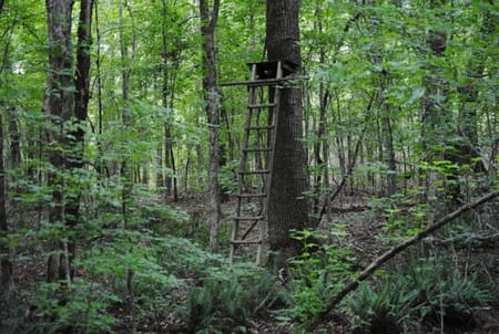 West Point, GA 31833 Troup County