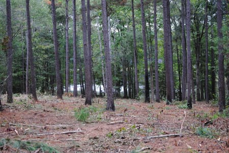 West Point, GA 31833 Troup County