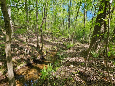 West Point, GA 31833 Troup County