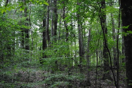 West Point, GA 31833 Troup County