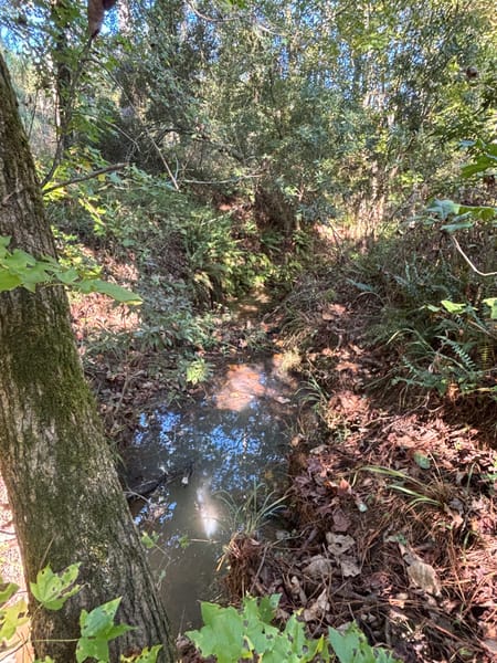 Eatonton, GA 31024 Putnam County