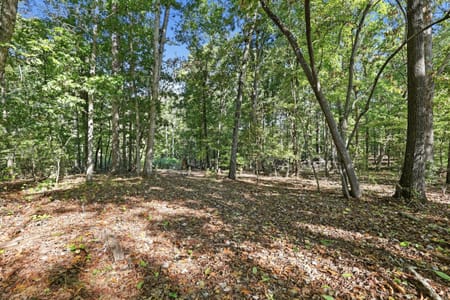 Elberton, GA 30635 Elbert County