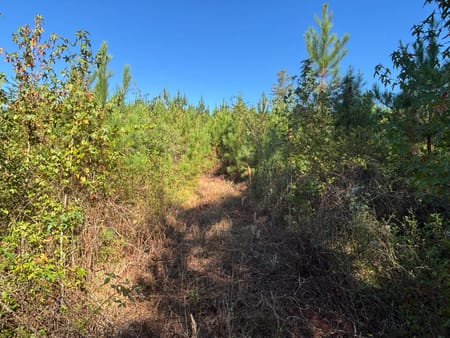 Eatonton, GA 31024 Putnam County