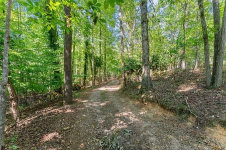 Demorest, GA 30535 Habersham County