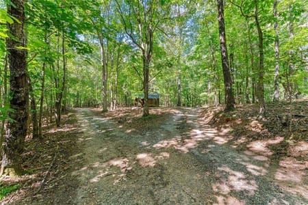 Demorest, GA 30535 Habersham County