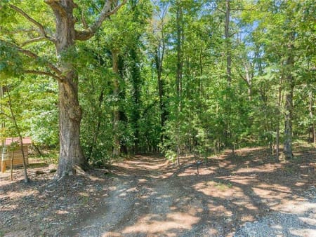 Demorest, GA 30535 Habersham County