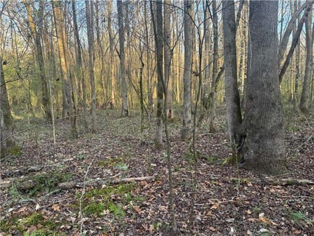 Madison, GA 30650 Morgan County