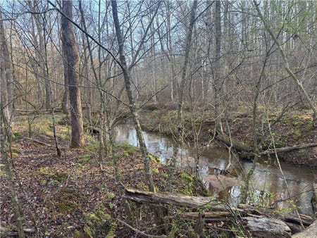 Madison, GA 30650 Morgan County
