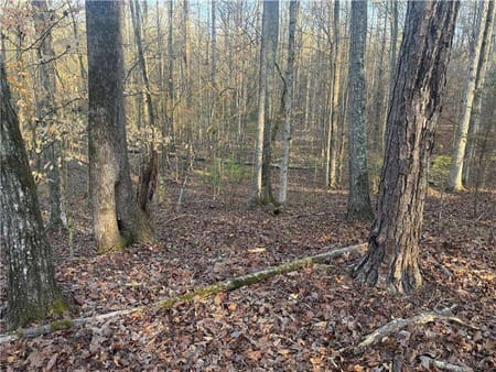 Madison, GA 30650 Morgan County