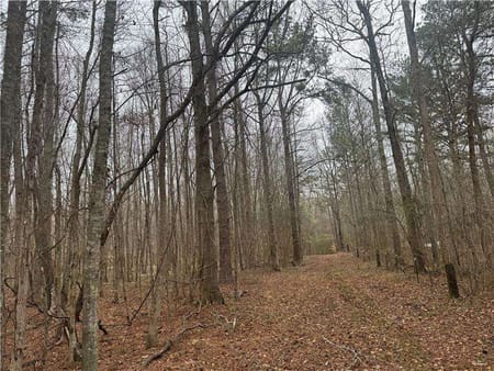 Madison, GA 30650 Morgan County
