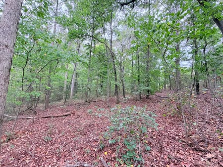 Royston, GA 30662 Franklin County